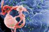 Scientists Discover Antibody that Blocks 98% of HIV Strains
