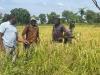 GAFSP Project Beneficiaries Delighted With Outcome of Agricultural Project Support