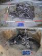 A Well in Croatia Held the Skeletal Remains of Roman Soldiers, A New Study Finds