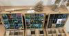 From peas to barley - Czechia adds 150 new seed samples to the Svalbard Global Seed Vault