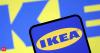 IKEA franchisee invests €720 mn to secure trees for its furniture