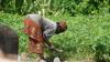 China helps Ivory Coast modernize agricultural approaches