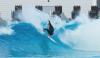 A Brand New Surf Festival is Coming to… Arizona?