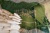 Saudi food firms expand feed production amid rising demand