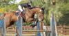 Coello makes history for Equestrian Bahamas