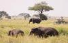 Tanzania targets Asia-Pacific travellers to diversify tourism markets