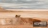 Morocco moves up in global mining economy index, report says