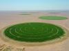 Oman: Emerging leader for agriculture in Mena