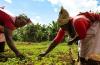 SNV partners with counties to boost climate-resilient farming through renewable energy