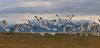Southeast Alaska Land Trust deal protects coastal wetlands