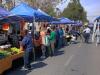 Chile’s Solidarity Economy Is Growing