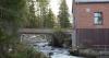 Wild landlocked salmon return to Finland