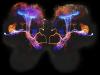 Scientists Create Artificial Neurons to Boost Computers by Mimicking the Human Brain