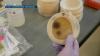 University of Arizona Cooperative Extension helps local high school