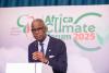 Beyond Net Zero: Africa’s decarbonisation must be guided by human, devt rights, says Shasore
