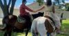 You Can Sleep and Pet Horses at This Vrbo in Delaware
