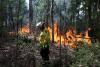 Australia and New Zealand issue extreme fire danger warnings as heat records tumble