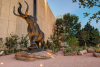 Denver Museum of Nature & Science: A Visitor's Guide