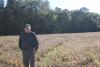 Delaware soybean farmers remain optimistic amid dropping prices 