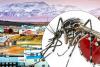Bug expert terrified to see mosquitoes in Iceland for the first time in history: ‘The last fortress has fallen’