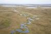 Trump administration moves toward an Arctic Alaska oil lease sale despite the government shutdown
