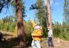 Opponents: Wildfire highlights Bitterroot logging project flaws