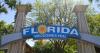 Florida joins Texas, Kentucky and Illinois in alarming new travel trend for 2025