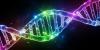 Scientists discover an epigenetic mechanism that links childhood trauma to adult stress sensitivity