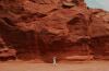 Spanish scientists explore plant survival on Mars