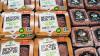 Retail Traders Send Beyond Meat Up Another 90% Today