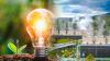 El Salvador Advances Toward a Green Future with New Renewable Energy Law and Tax Incentives