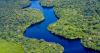 Banking on rainforest destruction