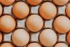 Agriculture and hotel school bridging education and skills
