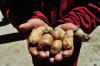 Explore Colombia’s Potato Heartland at the Boyaca Biomuseum