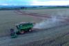 Chicago soybeans rise on China trade optimism, Japan purchase proposal