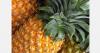 Honduran Colada Royale pineapple wins award at IFPA Global Produce and Floral Show