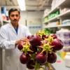 UBC Scientists Unveil Microbes That Convert Food Waste Into Energy