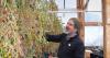 Agriculture is on the rise in Interior Alaska, but farmers often need side hustles
