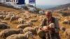 Greece cracks down on massive EU farm subsidy fraud tied to organized crime