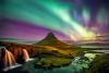 Iceland no longer mosquito-free, first sighting confirmed!