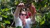 Agriculture Ministry Reveals Reasons for Indonesia's Cocoa Production Decline