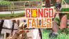 Go inside the new Congo Falls gorilla exhibit at San Antonio Zoo