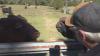 South Carolina cattle farmers concerned over proposed beef imports from Argentina