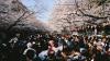 Planning a trip to Japan? Expect higher visa fees and tourist taxes in 2026