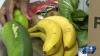 Need help feeding your family? Interactive map helps South Carolinians find free food resources