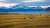 The US opens up the Alaska Wildlife Refuge to oil and Gas Development