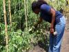 Breaking barriers in agriculture; young women join search for Malawi’s hidden wealth