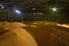 How the Cargill Brothers Built an Agricultural Empire in Iowa