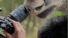 How Czech Filmmaker Hana Novakova Became ‘Obsessed’ With the Moose After Its ‘Unbelievable’ Return to Her Homeland
