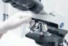 Research and Development: Czech Republic Invests Billions but Lags Behind Europe